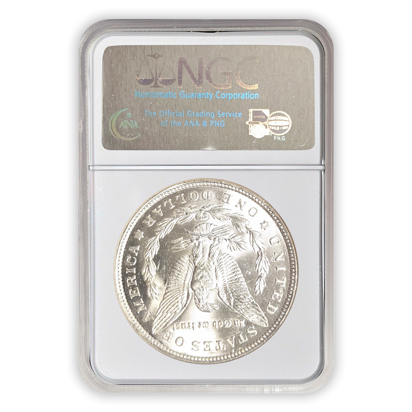 1921 Morgan Silver Dollar Philadelphia - NGC MS64 Sight White