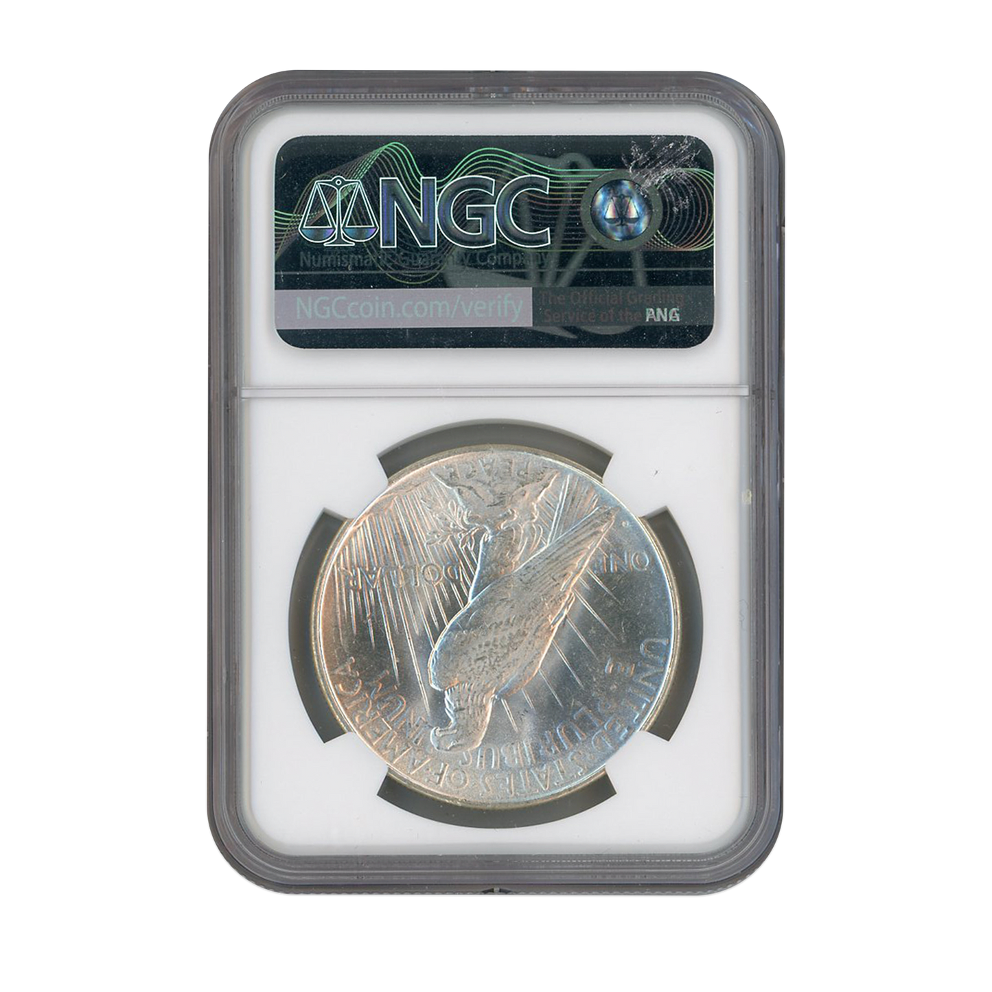 1923 D Peace Silver Dollar Denver NGC MS62