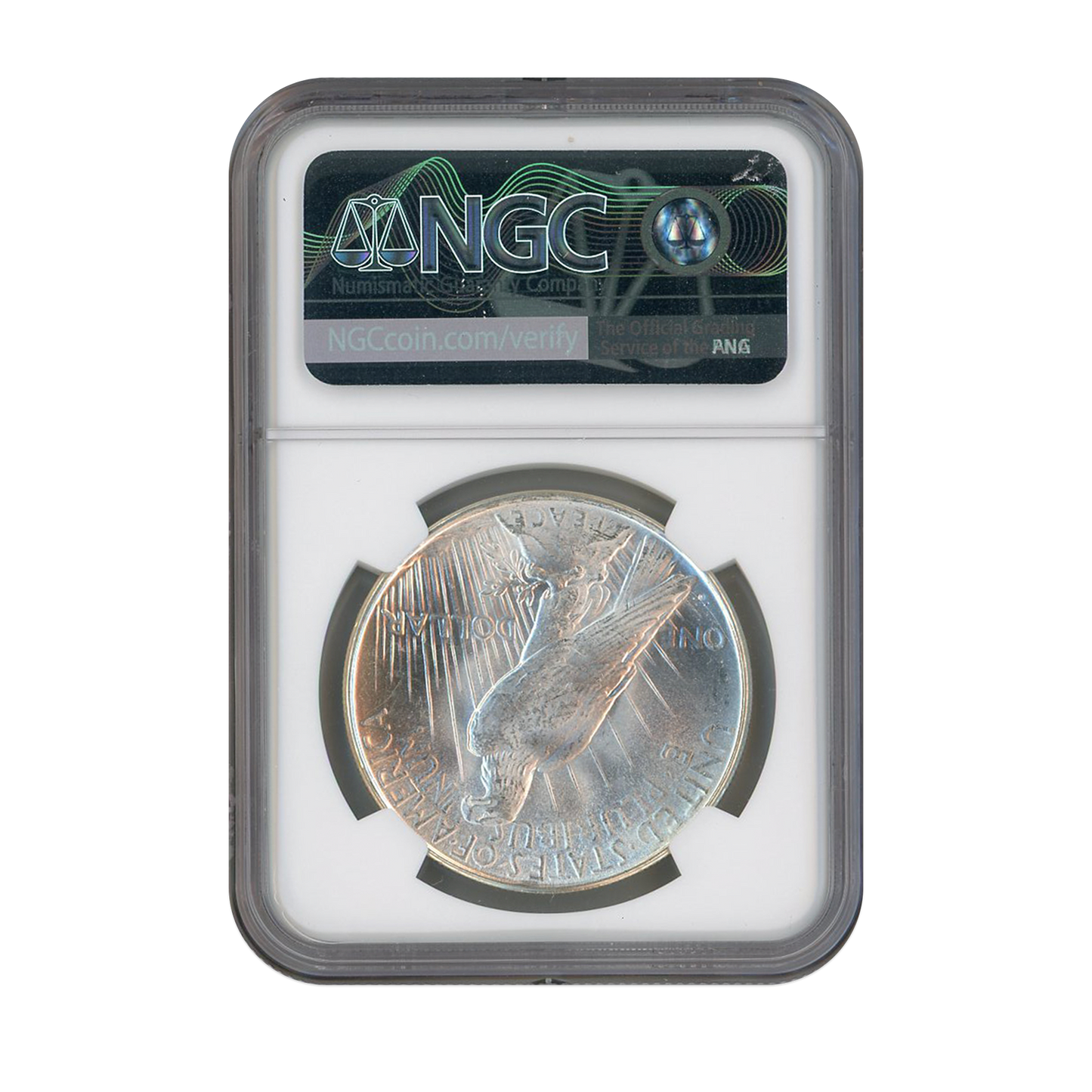 1923 D Peace Silver Dollar Denver NGC MS64