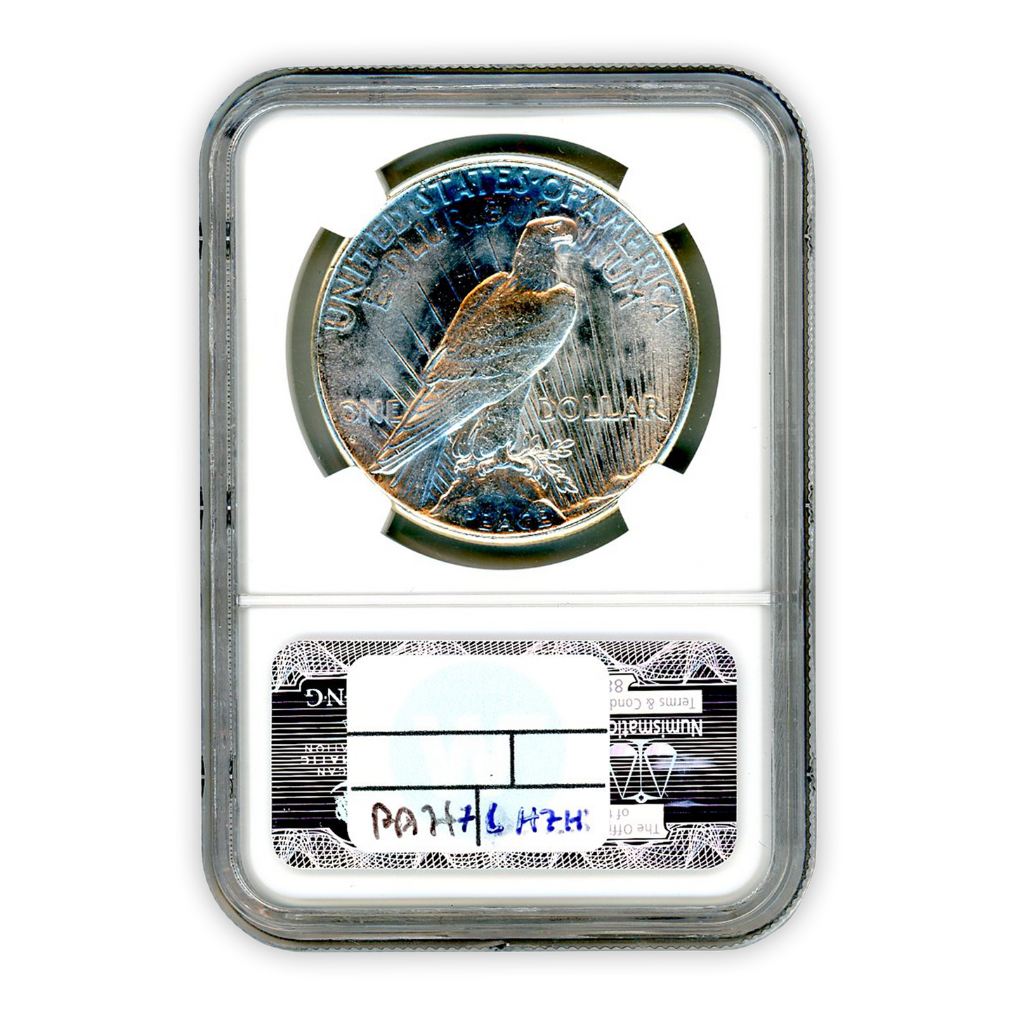 1928-S Silver Peace Dollar San Francisco NGC MS64 Sight White