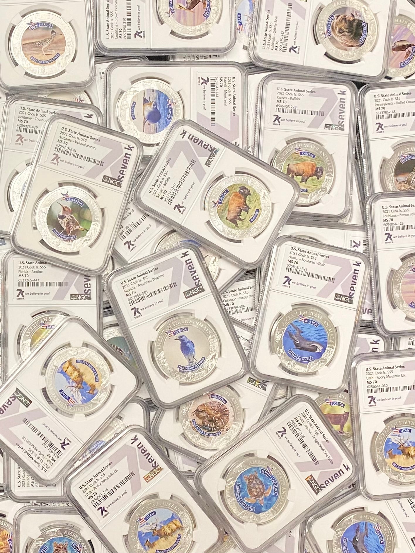United States Animal Series Grab Bag - NGC MS70