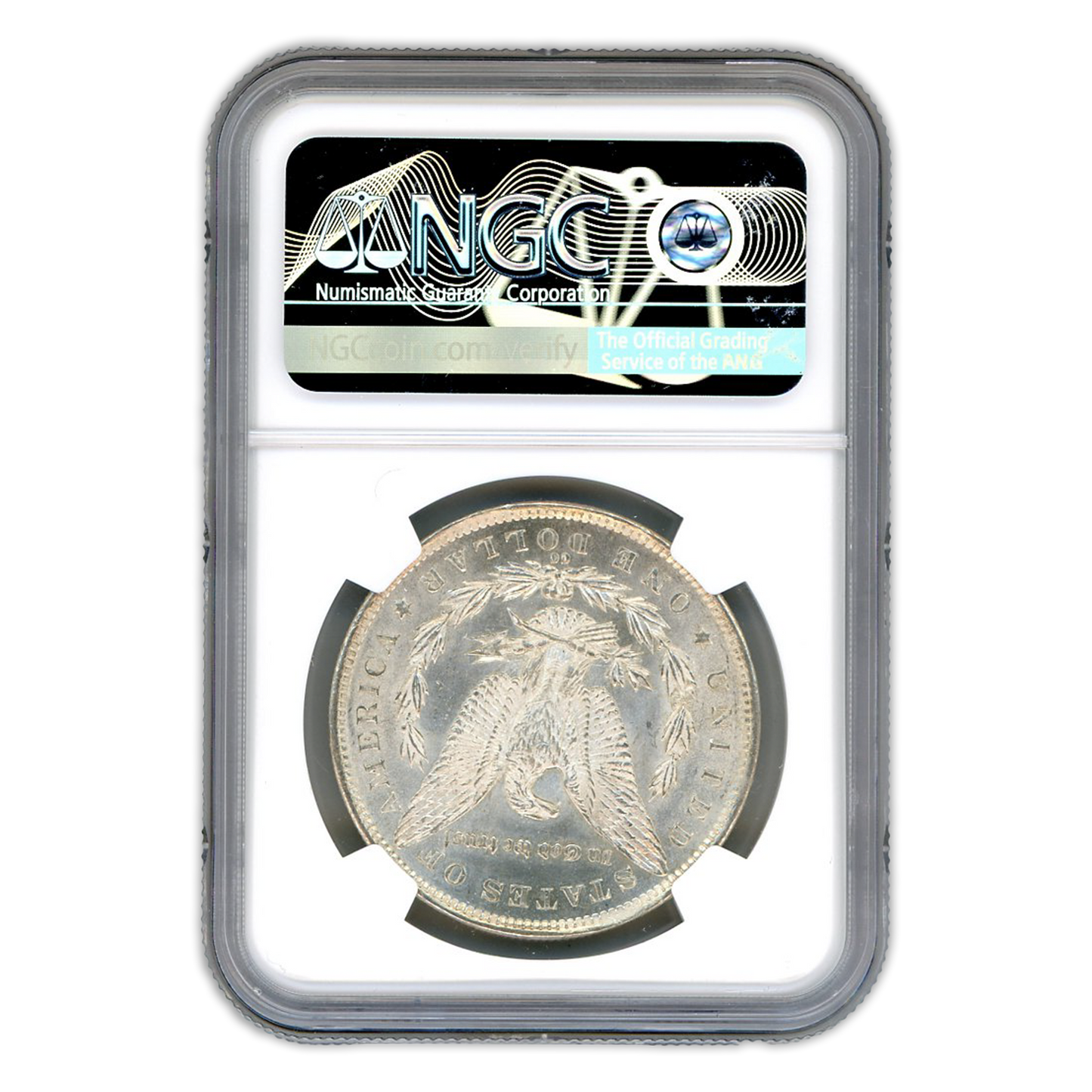 1891-CC Morgan Silver Dollar Carson City - Top 100 VAM-3 Spitting Eagle - NGC MS62