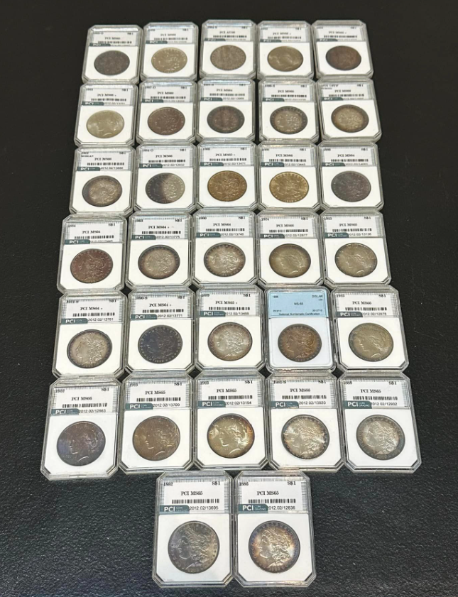 Toned PCI Silver Dollar Hoard