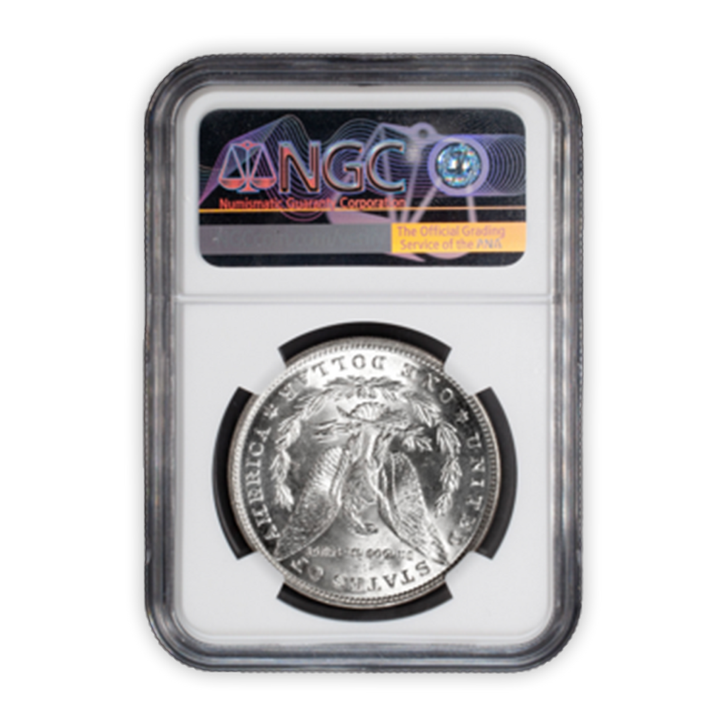 1887 Morgan Silver Dollar Top 100 Vam 12A DDO Gator & Clash Wayne Miller Signature NGC MS62