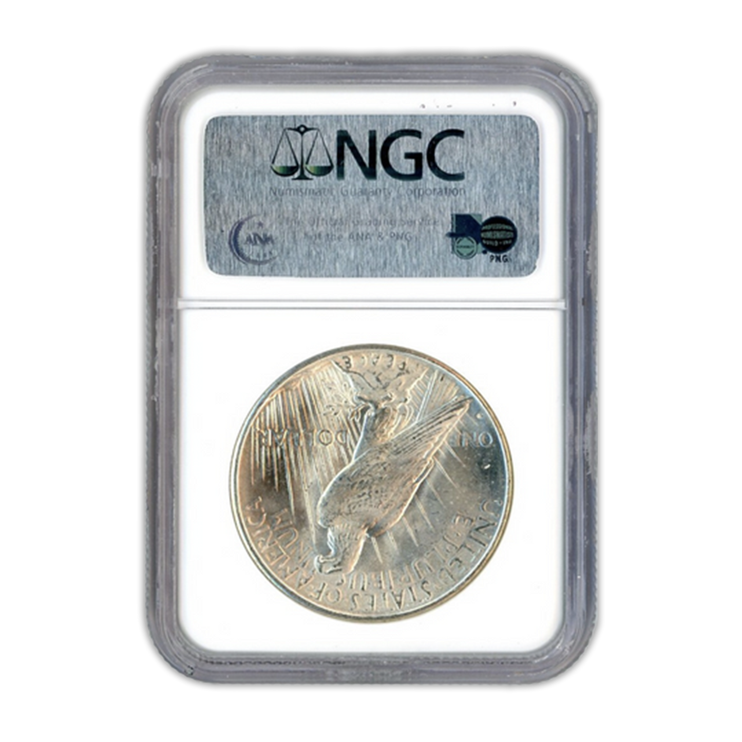 1934-D Peace Silver Dollar Denver - Great Falls Collection - NGC MS63 Sight White