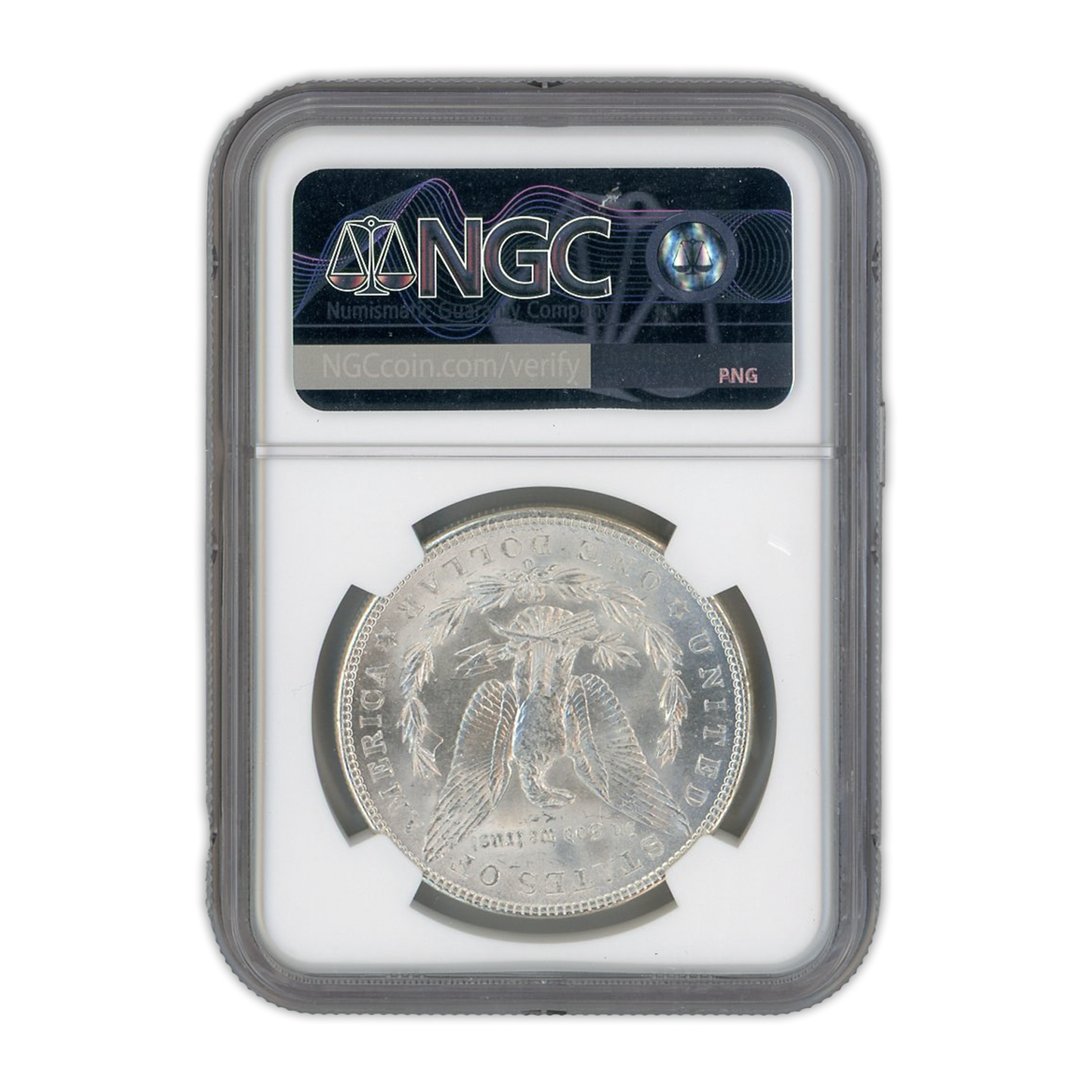 1902-O Morgan Silver Dollar - NGC MS64 Sight White