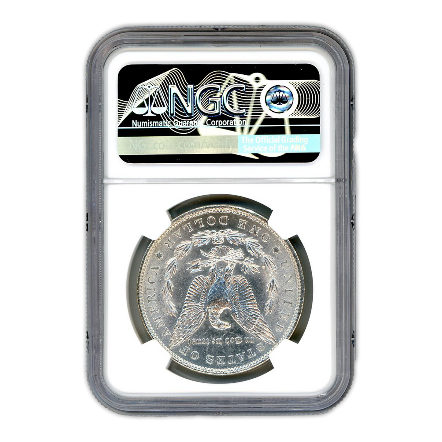 1878 Morgan Silver Dollar 7 Tailfeathers Reverse of 1879 - NGC MS61