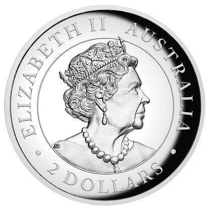 2021 Brumby 2 Oz Silver Proof - Perth Mint