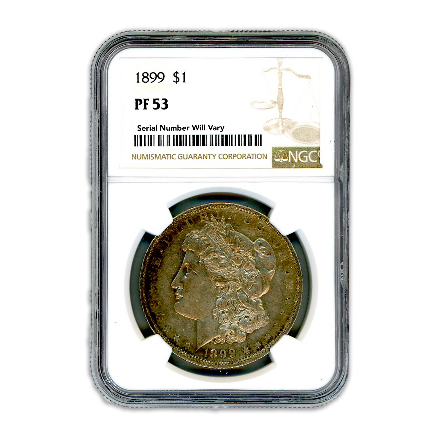 1899 $1 Morgan Dollar NGC PF53