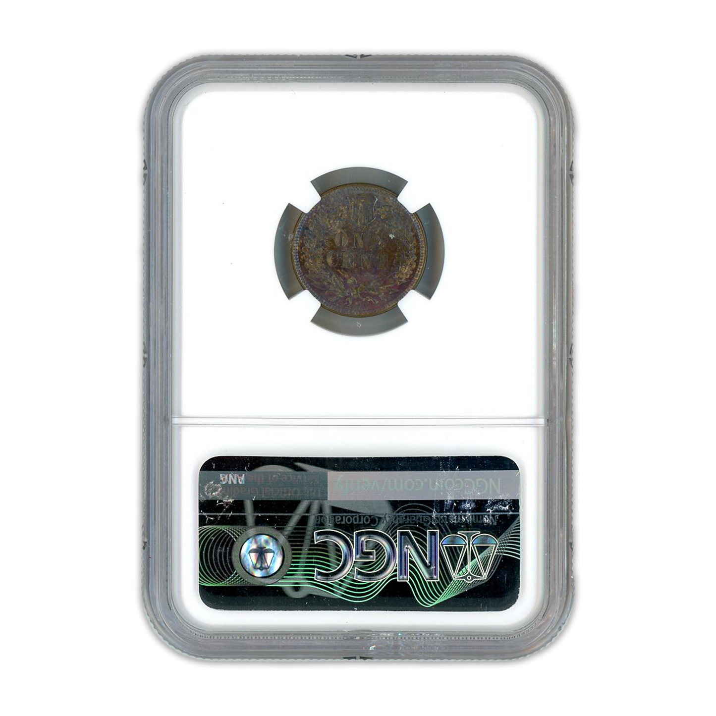 1900 Indian Cent NGC MS63 BN