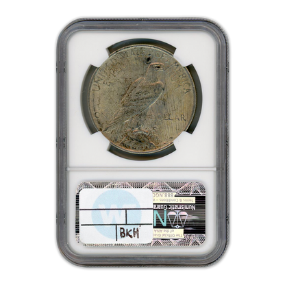 1922 Morgan Silver Dollar Philadelphia - Vam 2C Extra Hair LDS -  NGC AU58