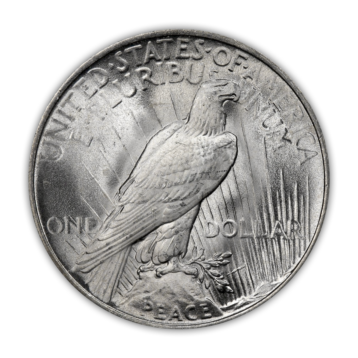 Silver Certificate & Uncirculated Peace Silver Dollar Bundle