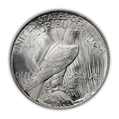 Silver Certificate & Uncirculated Peace Silver Dollar Bundle