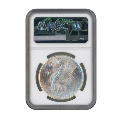 1923 D Peace Silver Dollar Denver NGC MS64