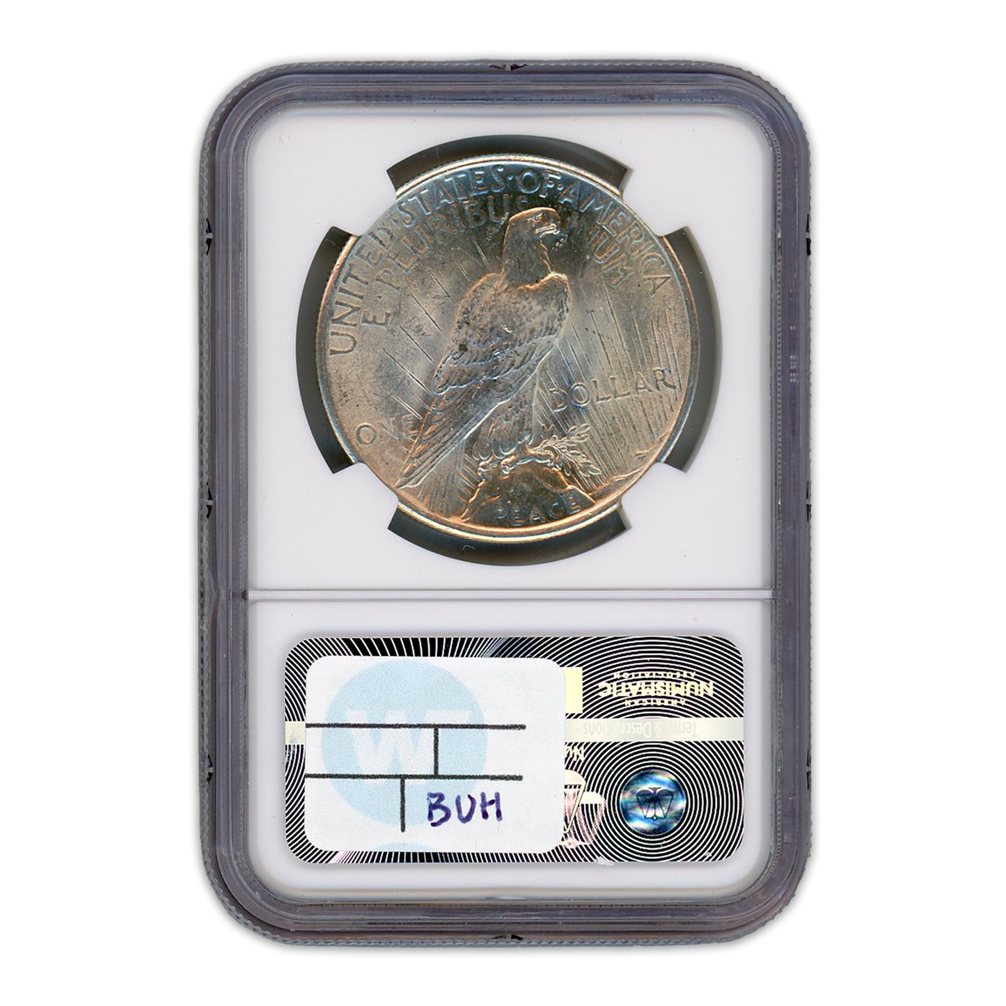 1925  Morgan Silver Dollar Philadelphia - Vam 1T Missing Ray -  NGC MS63