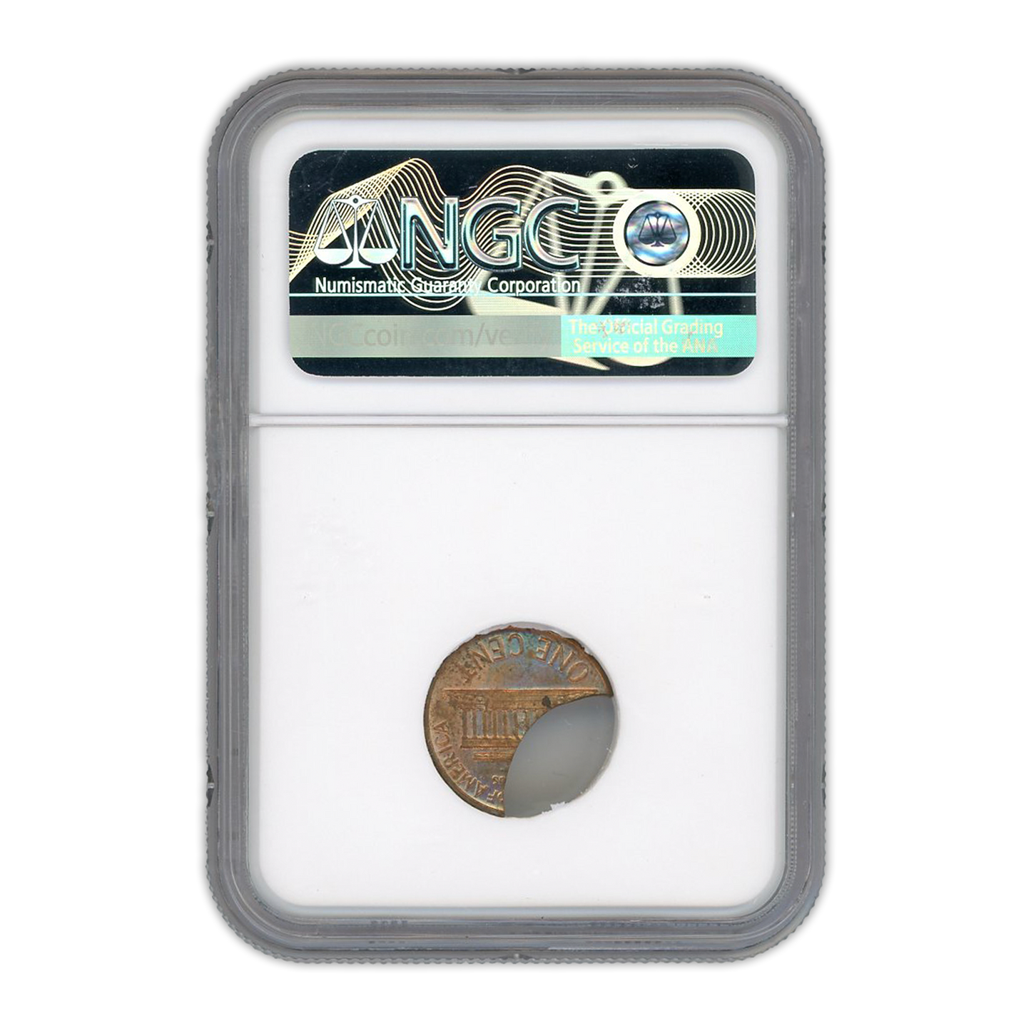 1966 Lincoln Cent Broadstruck On 45% Curved Clip - Mint Error NGC MS63 RD