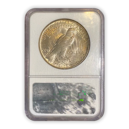 1921 Peace Silver Dollar Philadelphia - NGC MS62 Natural Toning