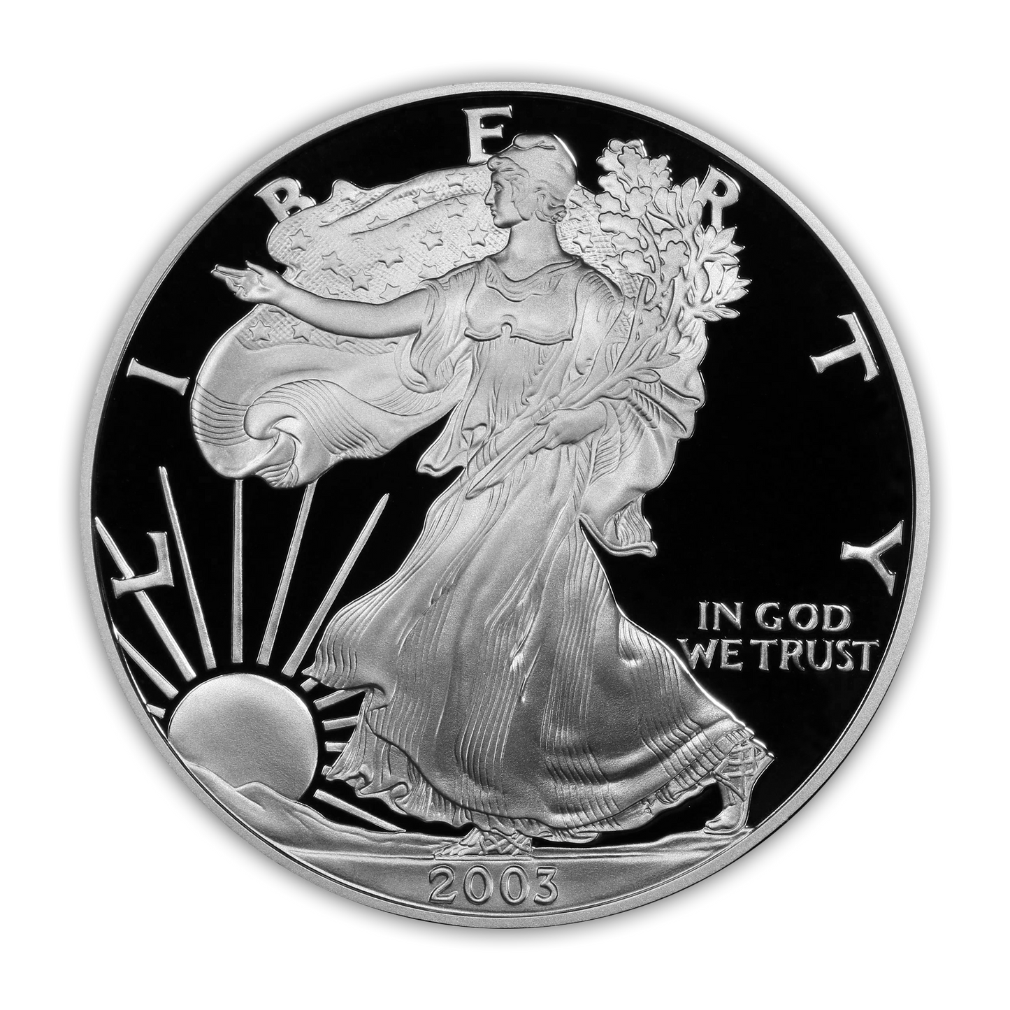 2003 Silver Eagle - West Point Proof - Original Government Packaging (OGP)