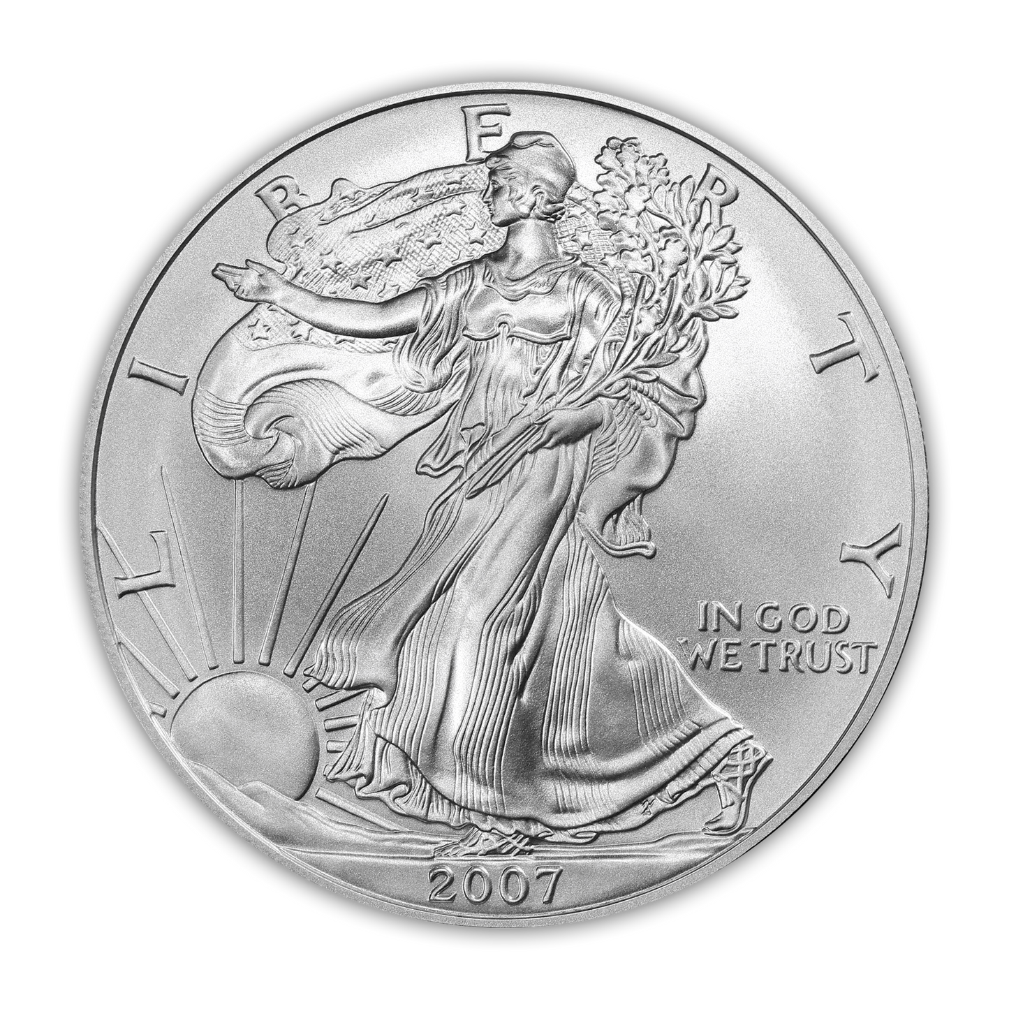2007 Silver Eagle - West Point Burnished - Original Government Packaging (OGP)