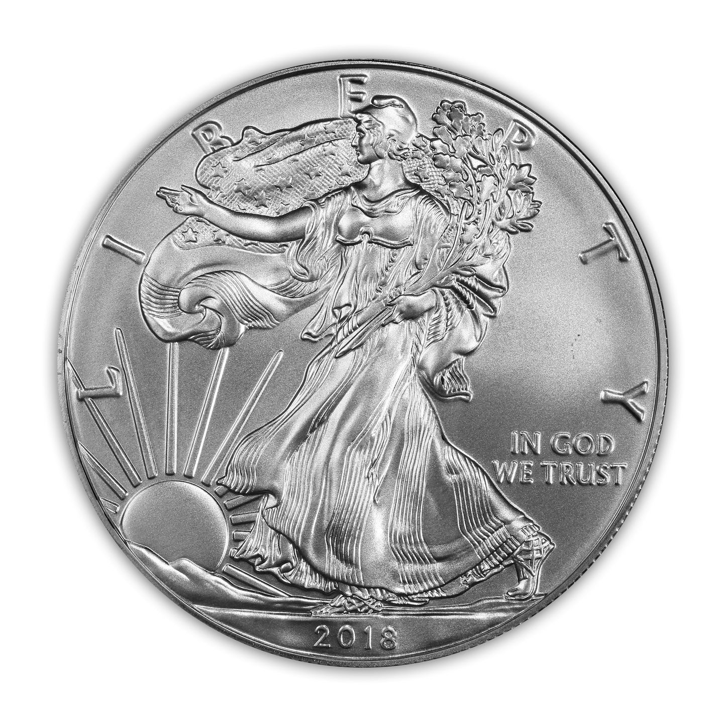 2018 Silver Eagle - West Point Burnished - Original Government Packaging (OGP)