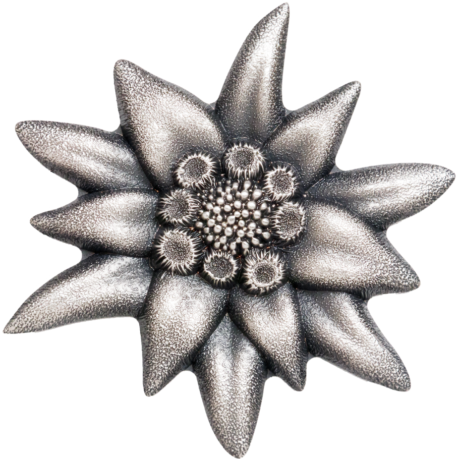 2019 Mongolian Edelweiss Mountain Star Silver in OGP