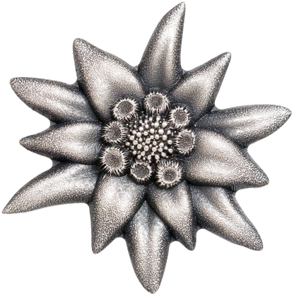 2019 Mongolian Edelweiss Mountain Star Silver in OGP