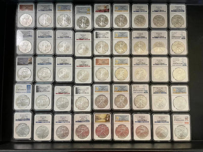 Silver Eagle Certified MS69 Grab Bag