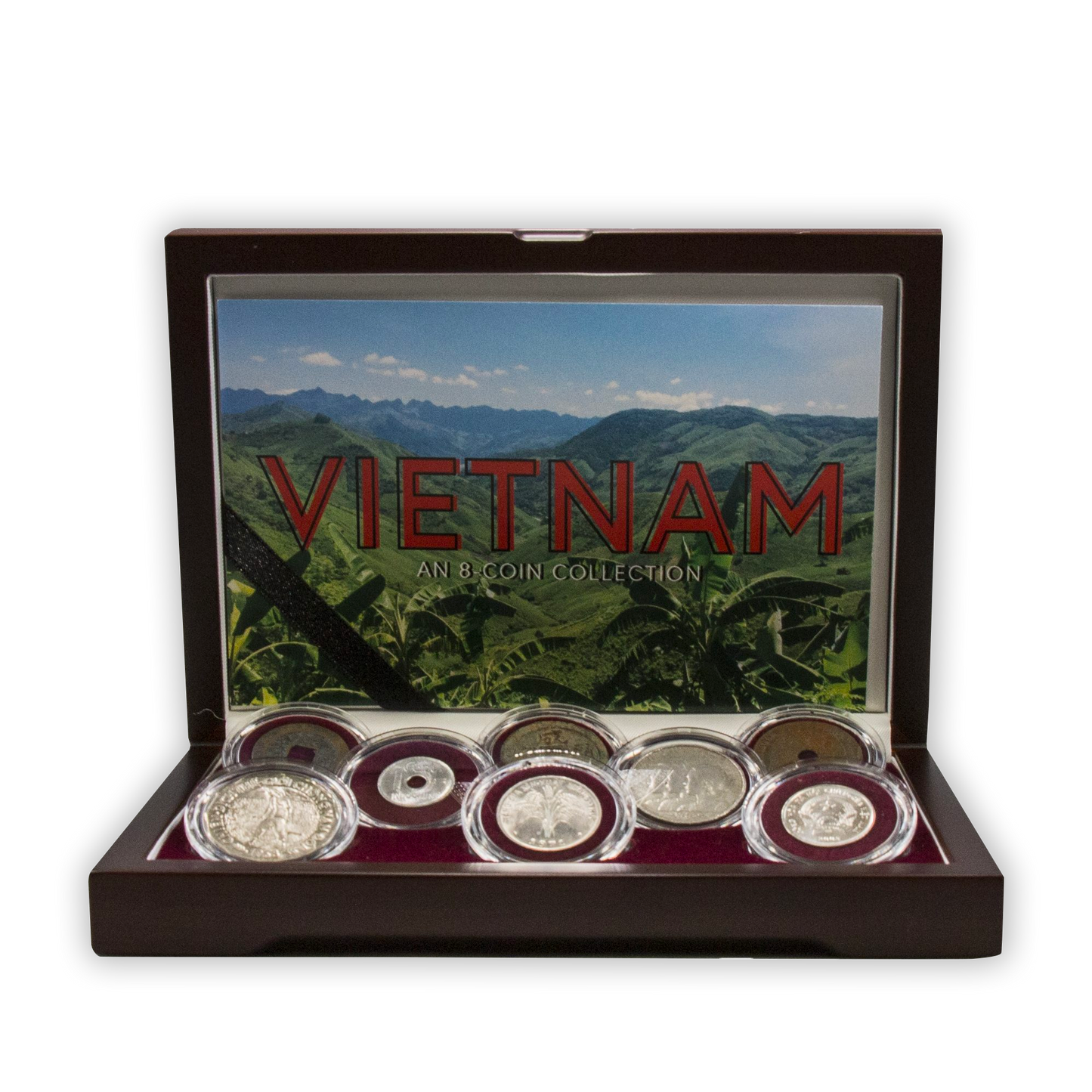 Vietnam: An 8-Coin Collection