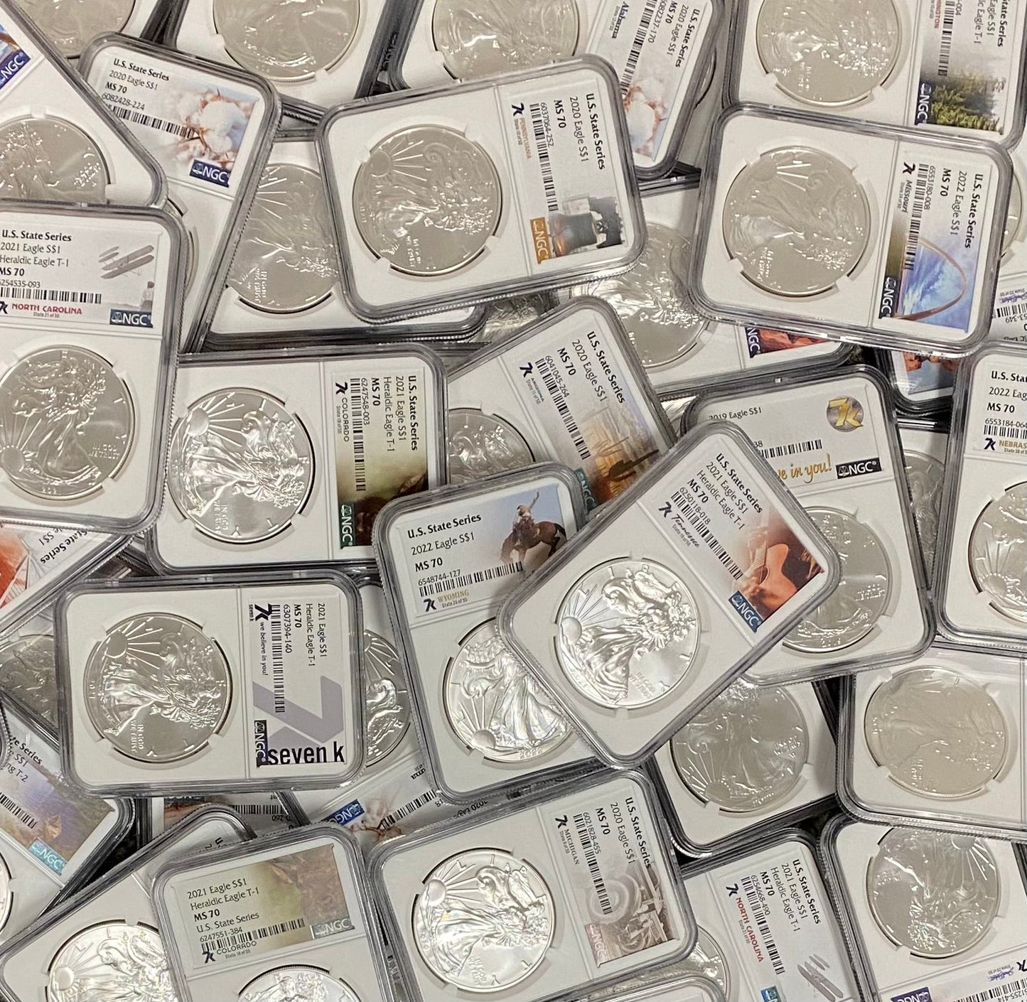 Silver Eagle United States Series Grab Bag - NGC MS70