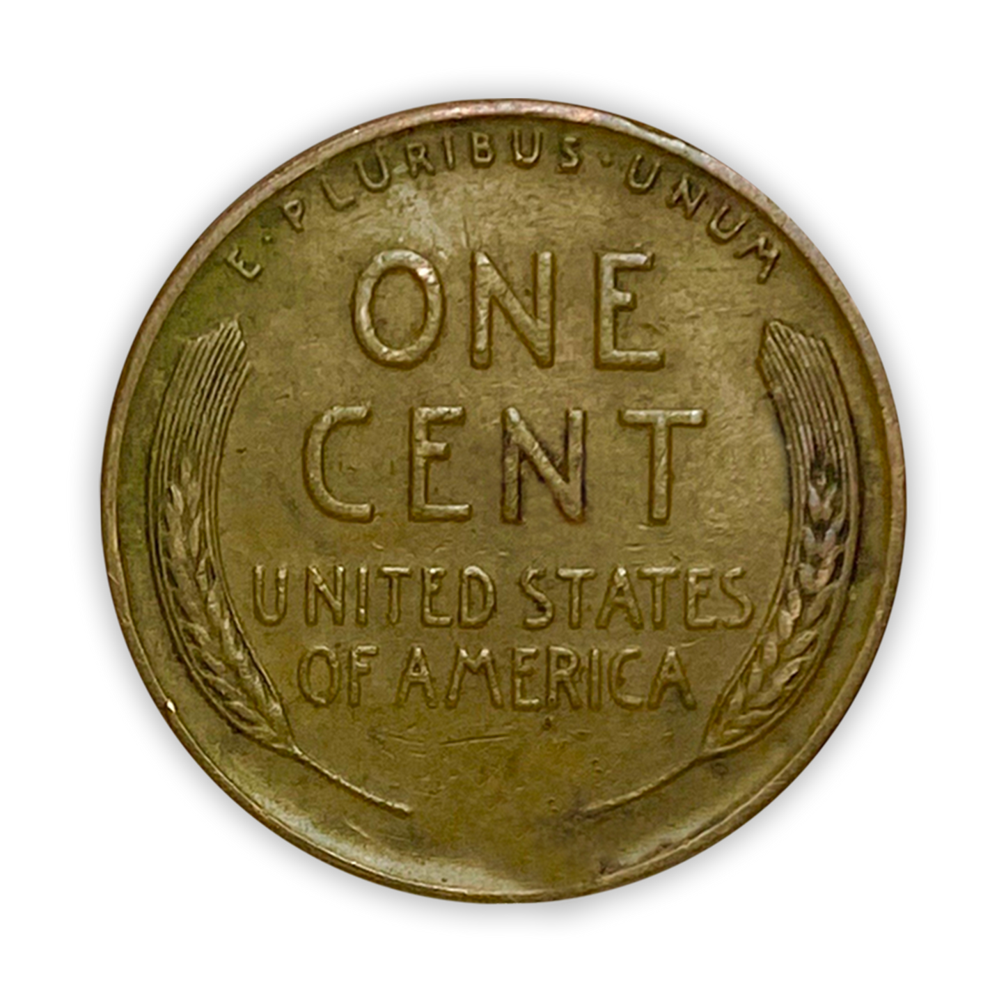 Unsearched Lincoln Cents Roll of 50 - Rocky Mountain Reserve Hoard