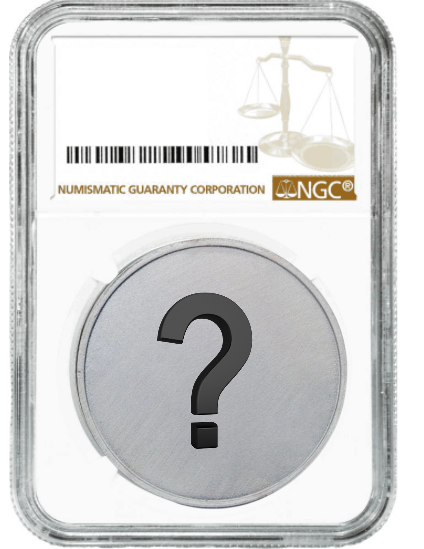 NGC 69 Silver Dollar Grab Bag