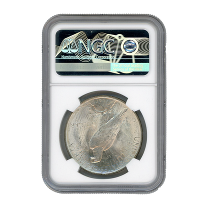 1922 Peace Dollar - NGC MS63