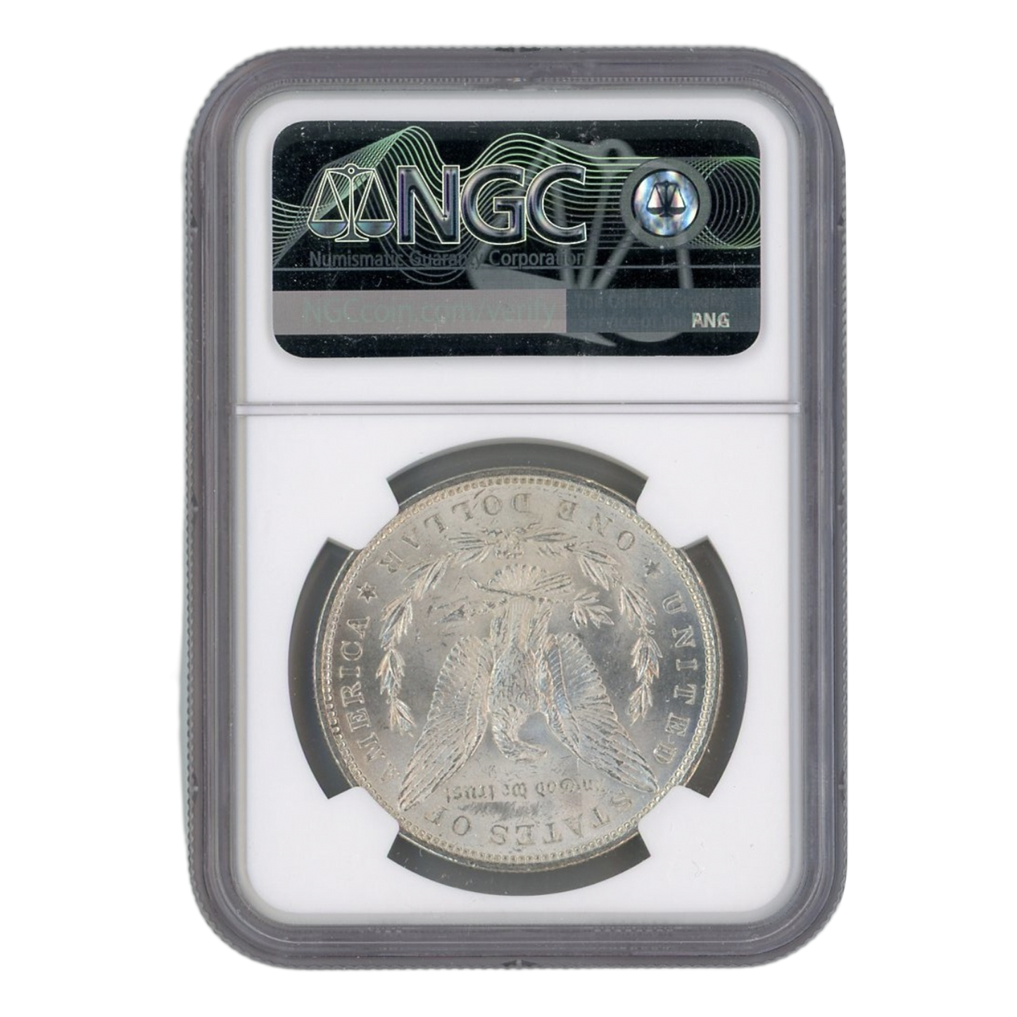 1882 Morgan Silver Dollar Philadelphia - NGC MS64+ Sight White