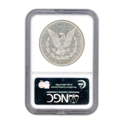 1884 S Morgan Dollar -  AU 55 NGC Sight White