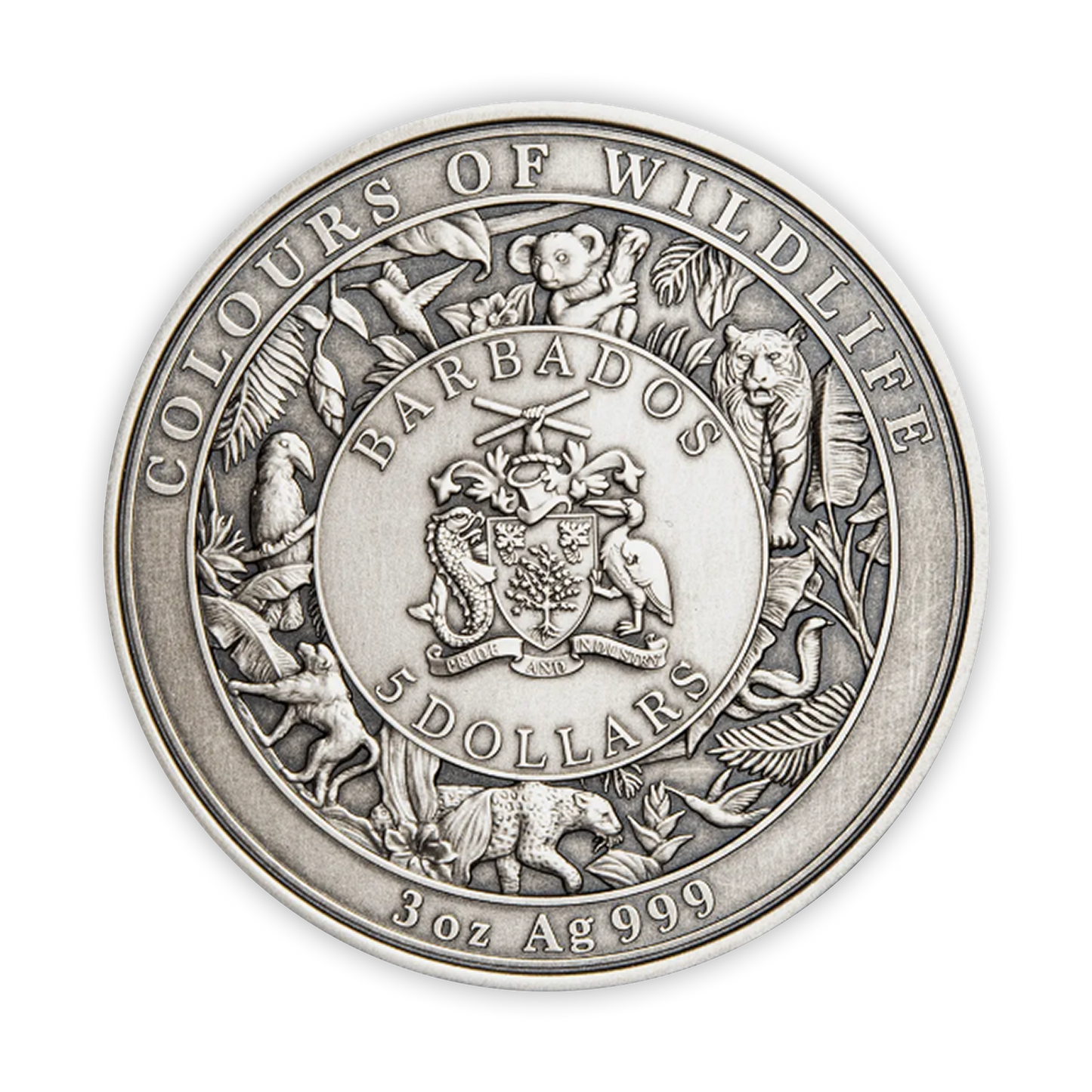 2022 3oz Silver Colours of Wildlife Koala Coin