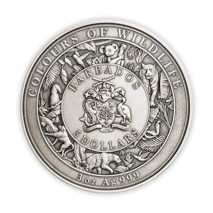 2022 3oz Silver Colours of Wildlife Koala Coin