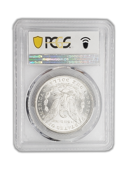 1884 Morgan Silver Dollar Philadelphia - PCGS MS64 Sight White