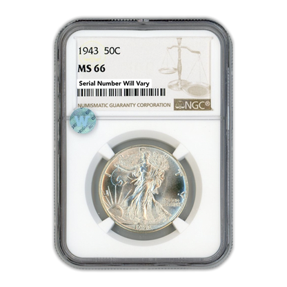 1943 Walking Liberty Silver Half Dollar - NGC MS66 Sight White