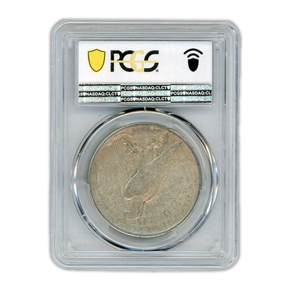 1921 Peace Silver Dollar - High Relief - PCGS VF20