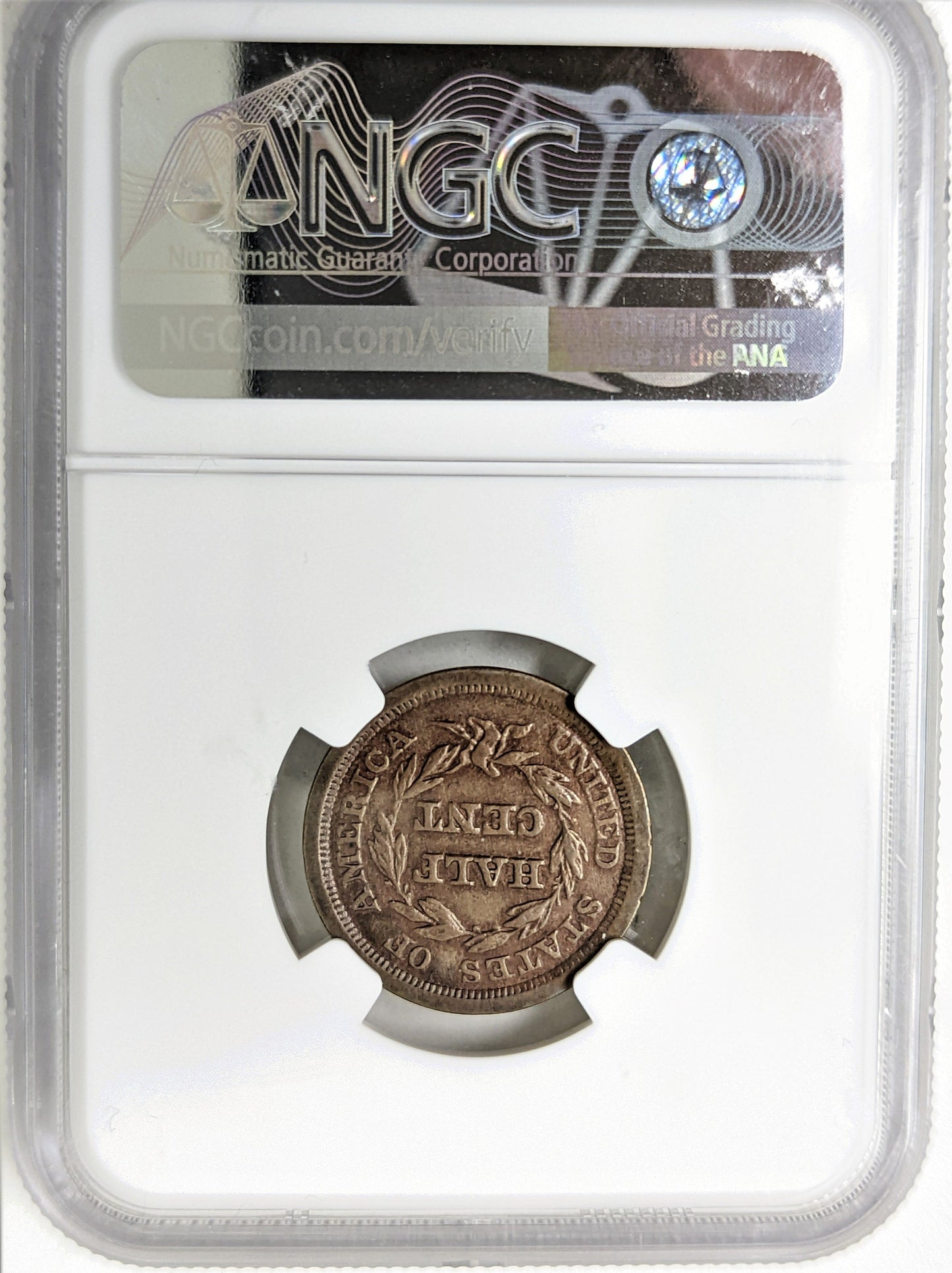 1850 Half Cent C-1