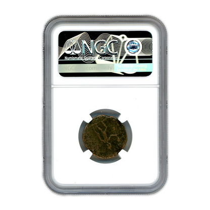 Ancient Roman Bronze Coin - Tacitus- Age of Chaos - NGC Certified
