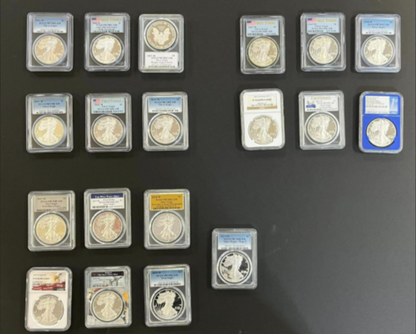 Perfect Proof Silver Eagles - Coin Shop Find
