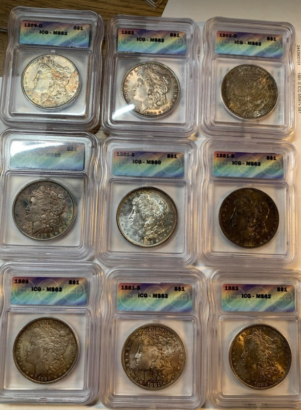 Morgan Silver Dollar Rainbow Toning Grab Bag