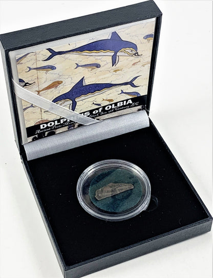 Ancient Bronze Dolphin Money of the Black Sea - 5th Century B.C.