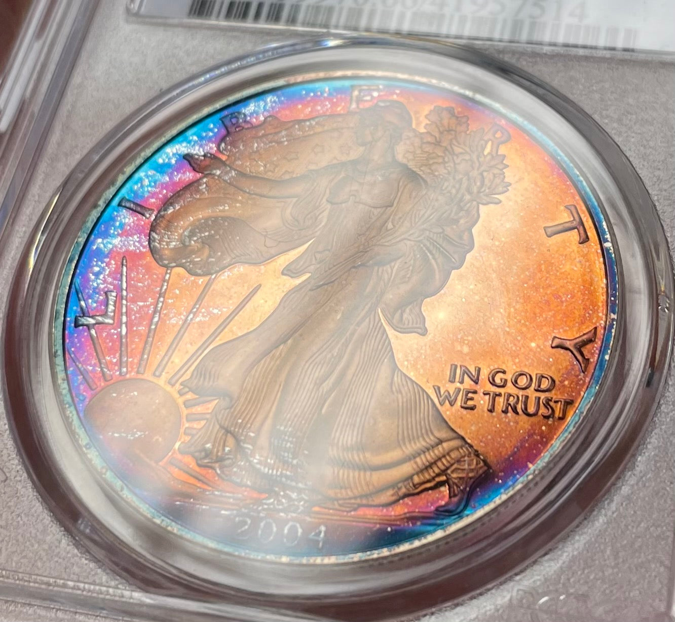 2004 Silver Eagle Proof - PCGS PF66 DCAM - Deep Rainbow Toned